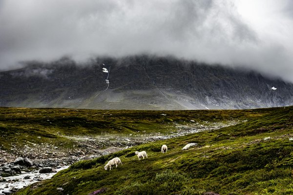 Les meilleurs jeux de casino à bord d'une croisière